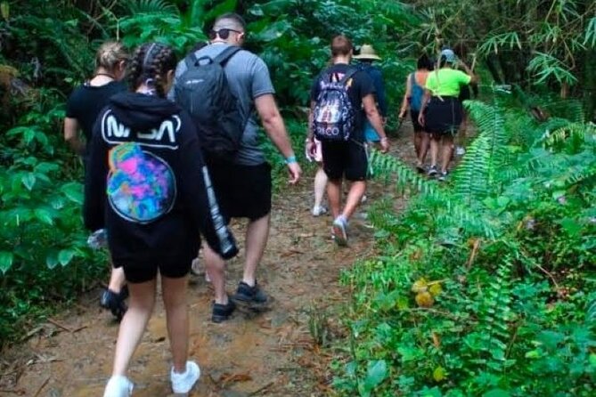 "Off the beaten path" Rain Forest Guided hike with Transportation - Price and value: is $95 worth it?