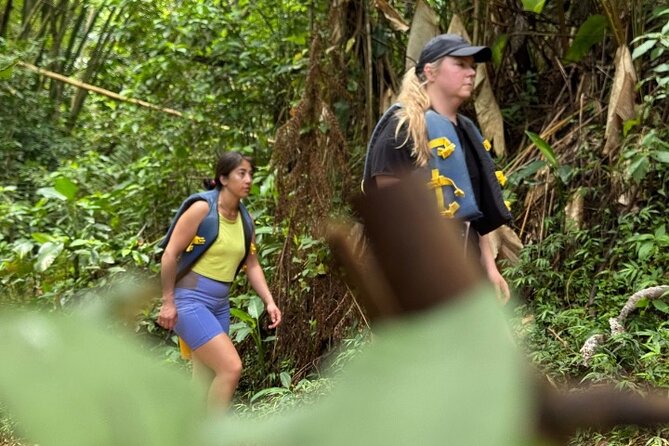 "Off the beaten path" Rain Forest Guided hike with Transportation - Who this tour suits best (and who should think twice)