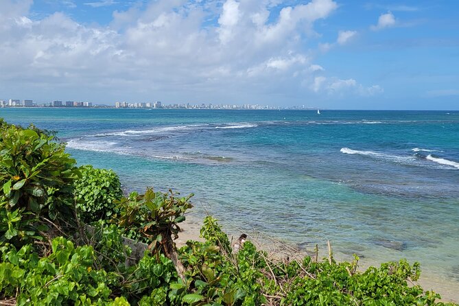 Old San Juan and Piñones Sightseeing Experience! - Who Should Book This Tour (and Who Might Not)