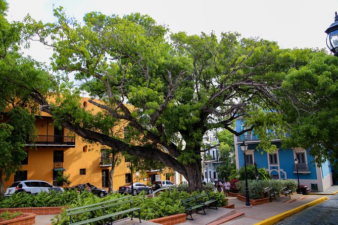Old San Juan and Rum Factory Full-Day Tour: Minimum 8+ people - The Cocktail Moment: What’s Included and What to Expect