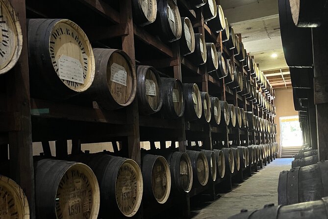 Old San Juan Private Tour with Barrilito Rum Experience - Old San Juan landmarks: the stops that give the city its backbone
