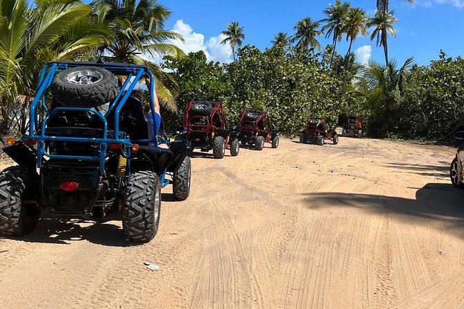 Piñones Beach Buggy + El Yunque Waterfall Adventure - Price and Value: Is $197 Fair for Buggy + El Yunque?