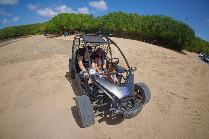Piñones Beach Buggy + El Yunque Waterfall Adventure - Who Should Book This Tour (and Who Might Prefer Another Option)