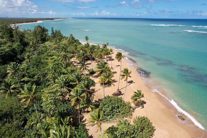 PR Chinchorreo-Beach and Bar Hopping Tour - Key highlights at a glance