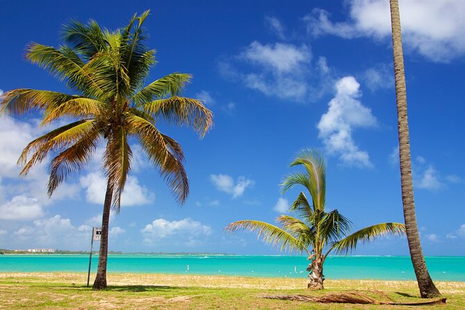 PR Chinchorreo-Beach and Bar Hopping Tour - Maunabo’s black sand beach: the “cool to see” stop
