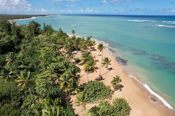 PR Chinchorreo-Beach and Bar Hopping Tour - Humacao and the Avatar connection