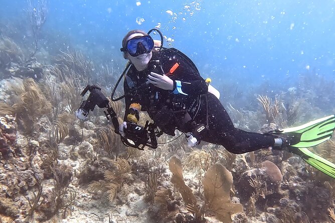 Private 2-Tank Dive with PADI Instructor for Certified Divers - Key highlights worth planning around