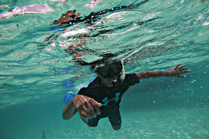 Private All-Inclusive 22ft Boat Guided Snorkeling Icacos Palomino - Price check: is $550 worth it?