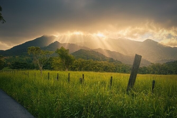 Private El Yunque Half-Day Tour with Transport - Price and value: what $125 buys you in El Yunque terms