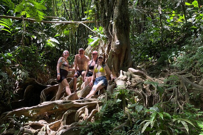 Private El Yunque Rainforest Day Tour with Transport - Why This Private El Yunque Tour Feels Worth It