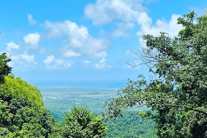 Private El Yunque Tour To Hidden Waterfall Remote Area - The guide factor: why Sara’s approach changes the day