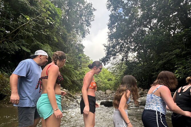 Private El Yunque Tour to Waterslide and Waterfalls - Getting to the rainforest: Fajardo pickup and the 16-minute mountain drive
