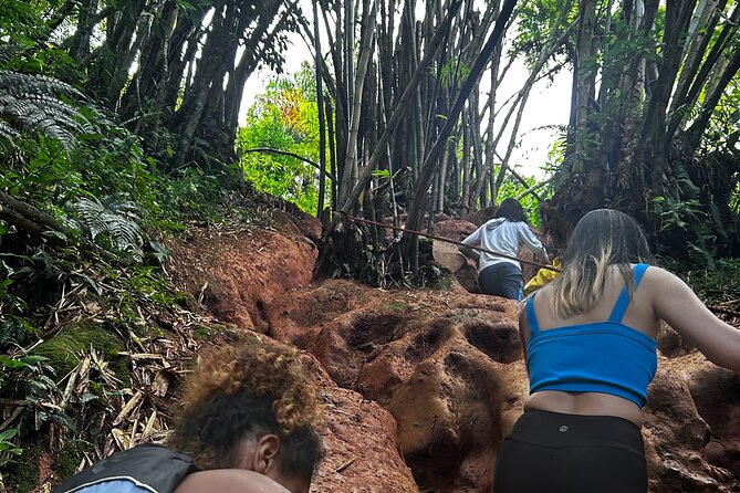 Private El Yunque Tour to Waterslide and Waterfalls - When weather changes plans, you’re not left hanging