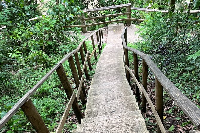 Private Full Day Gozalandia Waterfalls Adventure Tour - Starting at T-Mobile District: Pickup That Keeps You From Wandering
