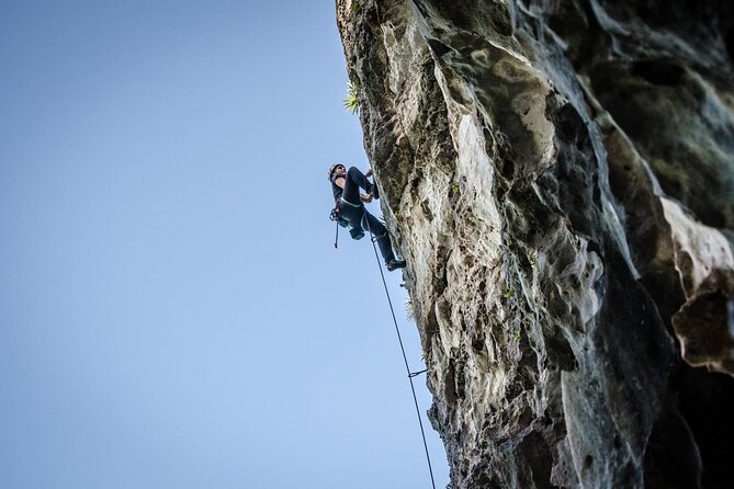 Private Guided Rock Climbing Trips in Puerto Rico - Key things that make this trip worth your time