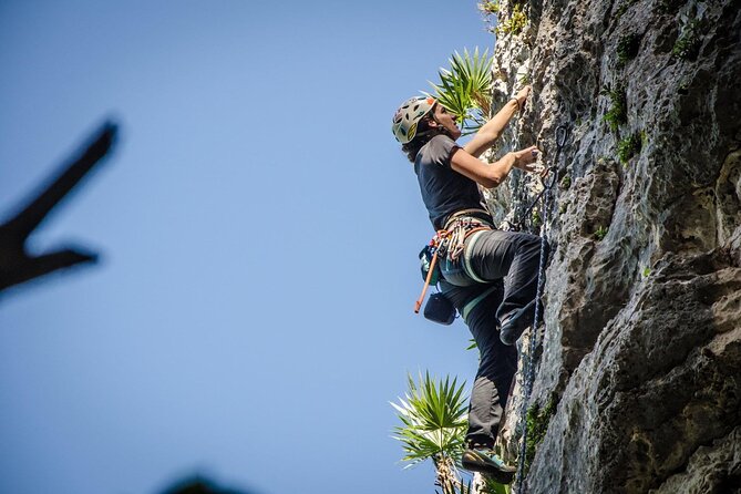 Private Guided Rock Climbing Trips in Puerto Rico - Where you’ll climb: Parque Julio Enrique Monagas and the short hop from San Juan