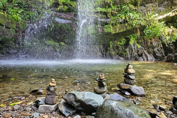 Private Rainforest Waterfalls and Beach Hiking Tour from San Juan - Who should book this, and who might skip it