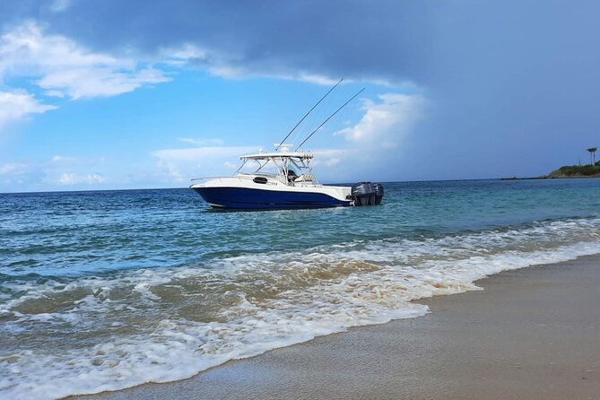 Private Tour to Cayo Icacos and Palomino Island - Isla Palominos Beach Hours for Snorkeling and Relaxing
