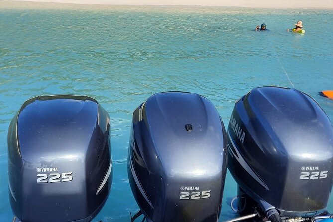 Private Tour to Cayo Icacos and Palomino Island - Price and Value for Up to 8: Is $1,000 Worth It?