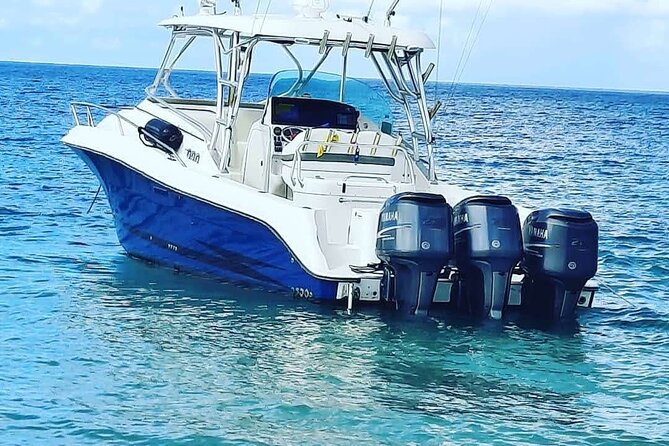 Private Tour to Cayo Icacos and Palomino Island - Weather, Timing, and a 10:00 am Start That Matters