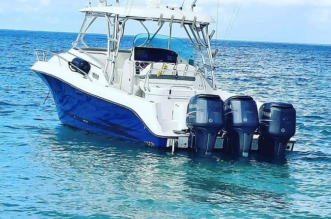 Private Tour to Cayo Icacos and Palomino Island - Who This Private Charter Fits Best
