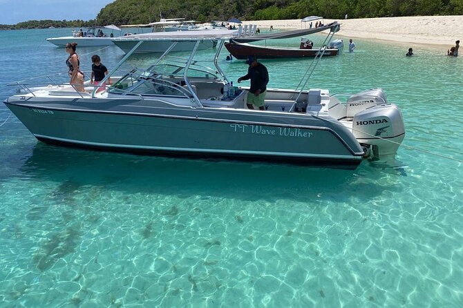Public or Private Boat Trip to Icacos & Palomino - What Actually Happens During the 4-Hour Plan