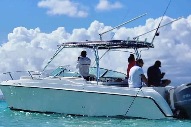 Public or Private Boat Trip to Icacos & Palomino - Price and Value: When $1,300 Makes Sense