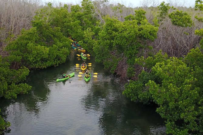 Puerto Rico Bio Bay Kayak Adventure Tour - Entering the Bio Bay: How This Tour Creates Glow