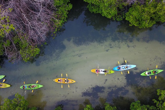 Puerto Rico Bio Bay Kayak Adventure Tour - When the Moon Is Bright: Tarps and How to Actually View the Blue Light