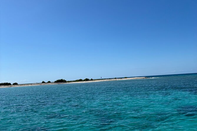Puerto Rico: Bio Bay Swim and Sunset Charter or Late night tour - Key highlights you’ll care about
