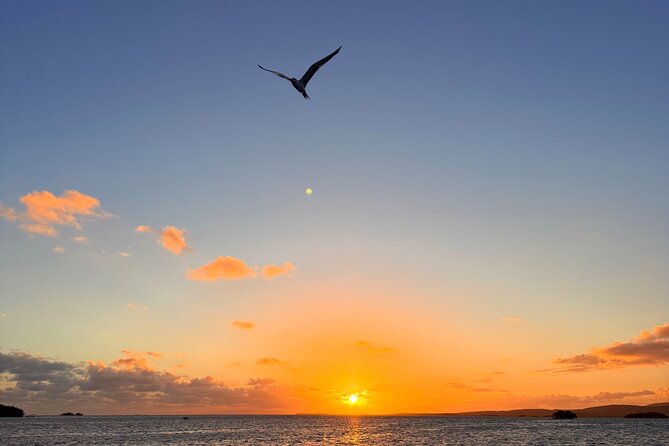 Puerto Rico: Bio Bay Swim and Sunset Charter or Late night tour - Late night biobay option: what changes when there’s no sunset