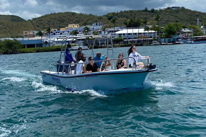 Puerto Rico: Bio Bay Swim and Sunset Charter or Late night tour - The biobay swim: 30 minutes of pixie-dust lighting