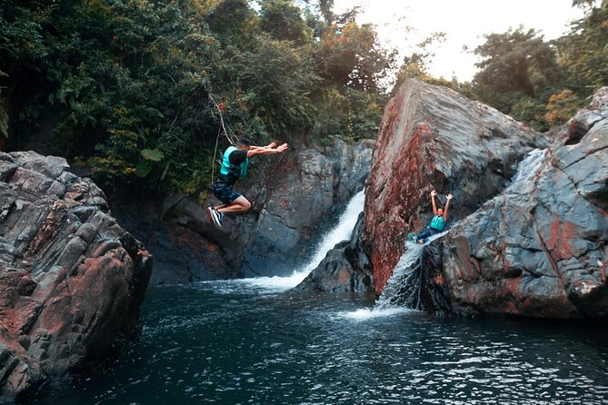 Puerto Rico El Yunque Rainforest with Transportation - Quick Hits (What Makes This Tour Work)
