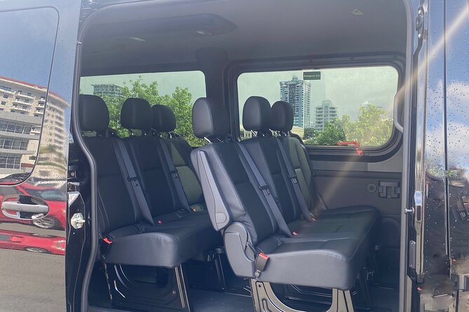 Puerto Rico Island Wide Private Transfers, 11Pax Lux Sprinter Van - Who this transfer fits best
