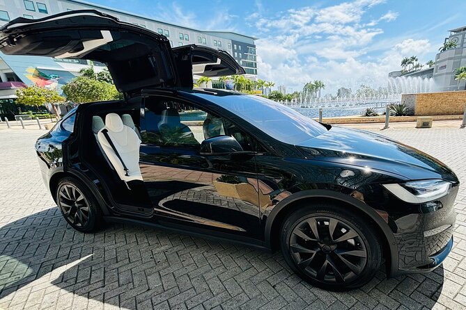 Puerto Rico Island Wide Transfer, Tesla Model X Luxury SUV. - Who should book this transfer, and who should pause