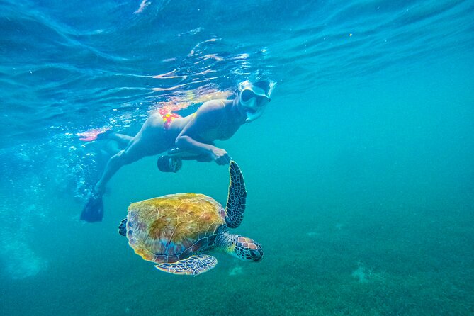 Puerto Rico Jet Snorkel with Turtles and Videos in San Juan - Escambron Beach meeting point and getting suited up fast