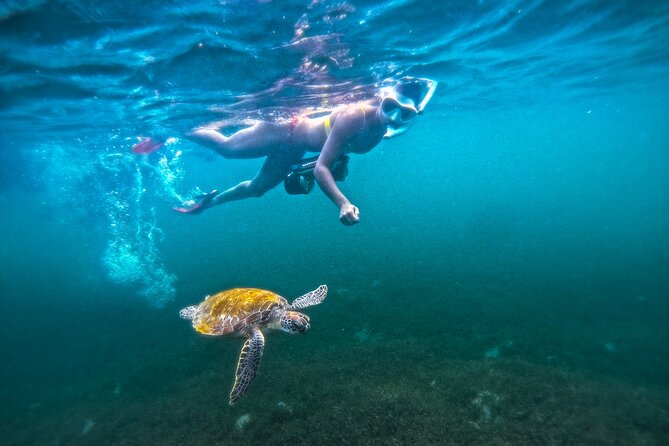 Puerto Rico Jet Snorkel with Turtles and Videos in San Juan - Safety briefing and the guides that make it feel manageable