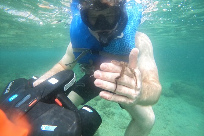 Puerto Rico Jet Snorkel with Turtles and Videos in San Juan - Jet snorkeling etiquette: how to move like you belong