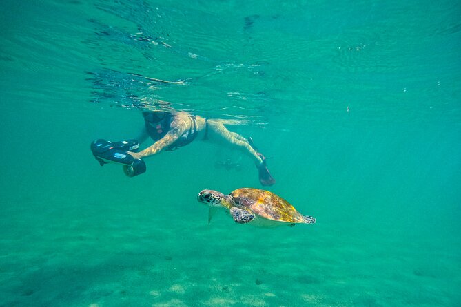 Puerto Rico Jet Snorkel with Turtles and Videos in San Juan - How jet snorkeling changes the water game in San Juan