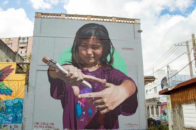 Puerto Rico: Lifestyle, Art, and Cultural Tour - Santurce street art walk: murals, corners, and a canvas moment