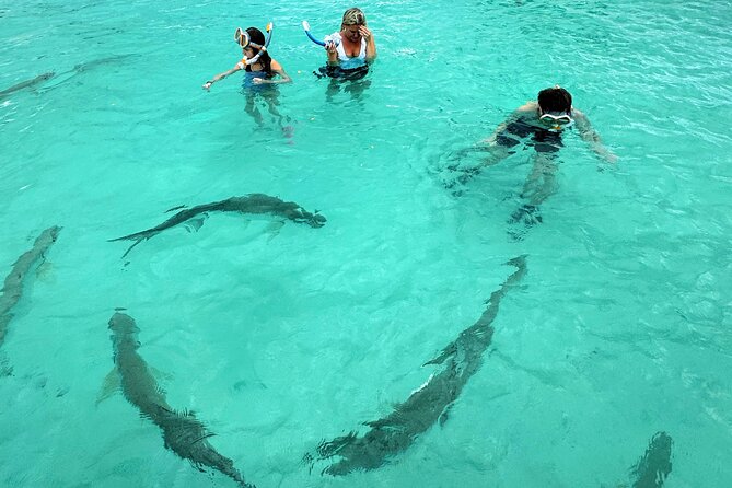 Puerto Rico's Only Private, VIP & Filmed Bio Bay Swim Experience - Professional Video Capture: Getting Footage Without the Stress