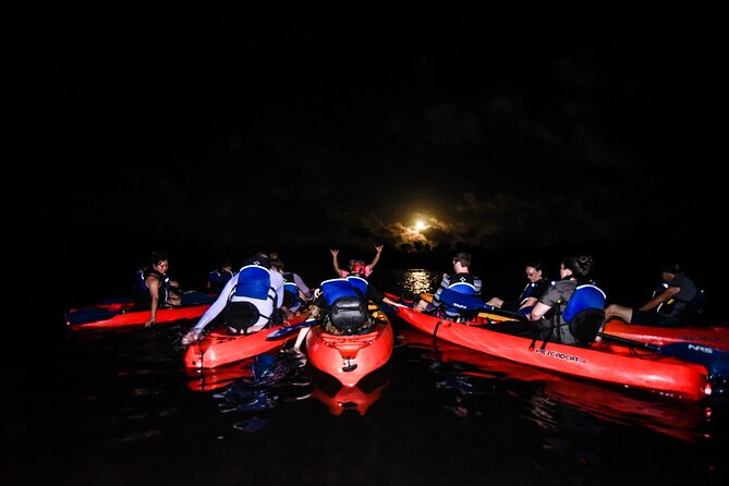 Puerto Rico Sunset Magic: Bio Bay Kayaking Tour from Fajardo - Key things I’d plan around before you go