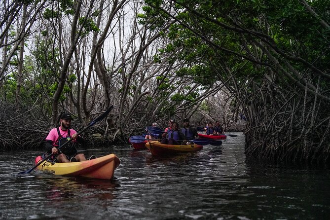 Puerto Rico Sunset Magic: Bio Bay Kayaking Tour from Fajardo - Where the tour starts in Fajardo (and how early to arrive)