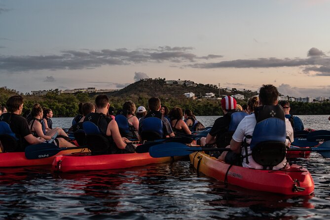 Puerto Rico Sunset Magic: Bio Bay Kayaking Tour from Fajardo - Laguna Grande paddle: mangroves, wildlife, and the lead-up to the glow
