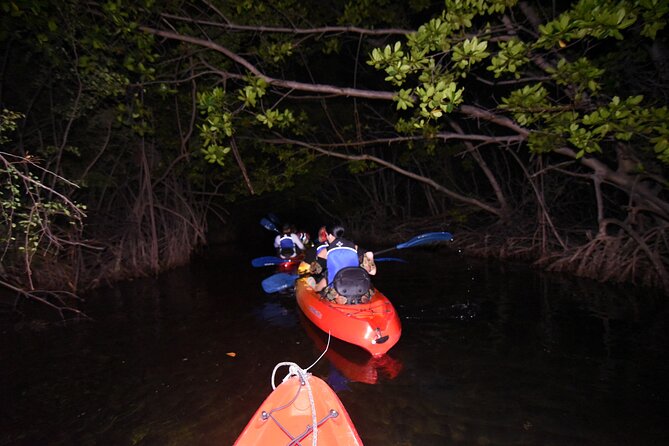 Puerto Rico Sunset Magic: Bio Bay Kayaking Tour from Fajardo - The moment of bioluminescence: why sparks are real but not guaranteed