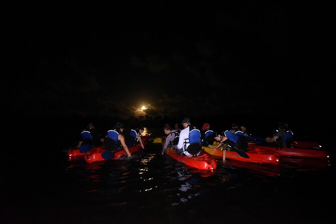 Puerto Rico Sunset Magic: Bio Bay Kayaking Tour from Fajardo - How hard is the kayaking? Tandem kayaks, dark canals, and staying in rhythm