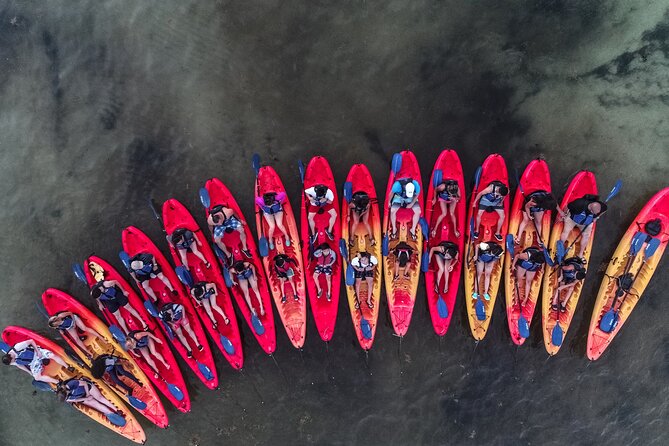 Puerto Rico Sunset Magic: Bio Bay Kayaking Tour from Fajardo - Safety rules you should take seriously before you book