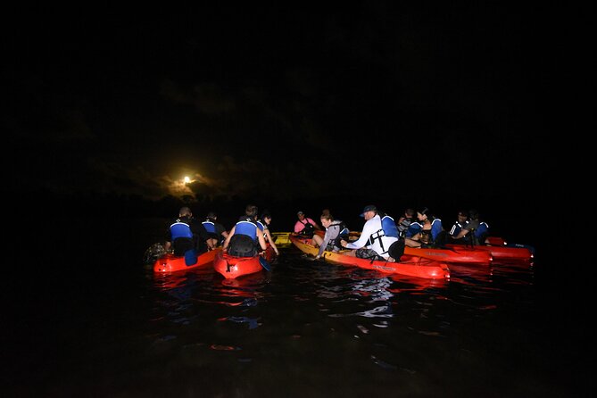 Puerto Rico Sunset Magic: Bio Bay Kayaking Tour from Fajardo - Marine biologist-led kayaking: what it changes for your night