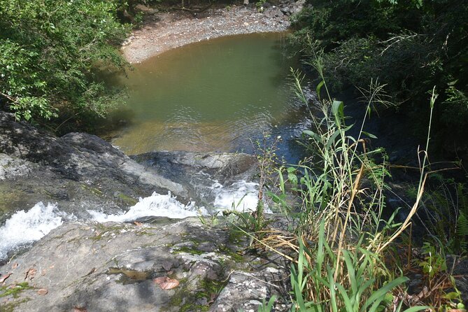 Puerto Rico Waterfall Hiking Tour: Discover Hidden Gems 2.0 - Waterfall Pools: Swimming, Jumping, and Optional Climbing