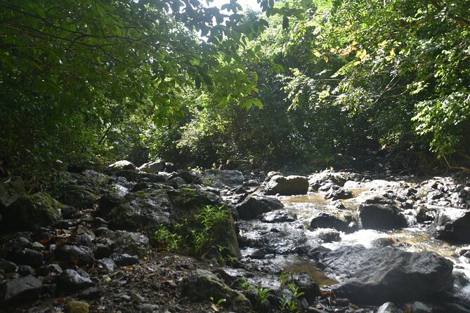Puerto Rico Waterfall Hiking Tour: Discover Hidden Gems 2.0 - Lunch With Locals: Plan for Extra Cost (and Expect Variety)